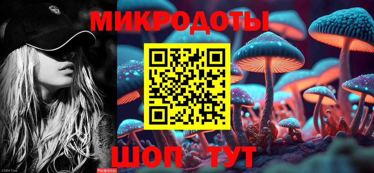 Качканар  Галлюциногенные грибы Psilocybine cubensis  Вход с VPN 