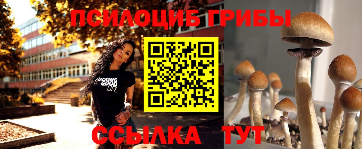 Галлюциногенные грибы мухоморы Качканар